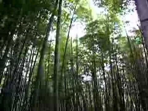 Miniatura de YouTube