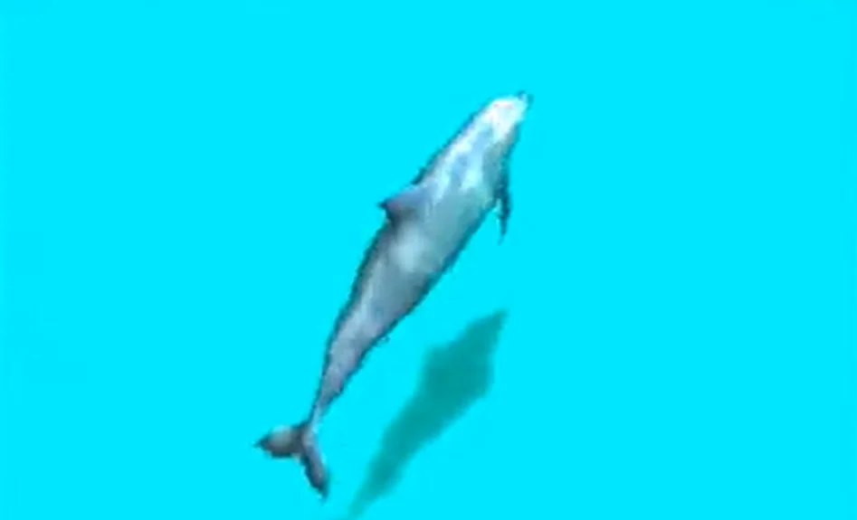 Miniatura de YouTube