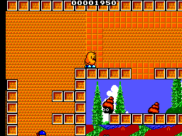 New Zealand Story, The