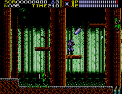 Ninja Gaiden