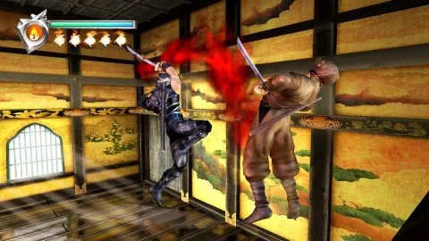 Ninja Gaiden