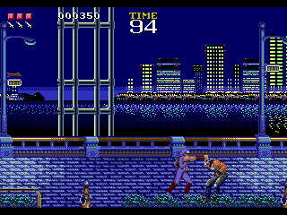 Ninja Gaiden