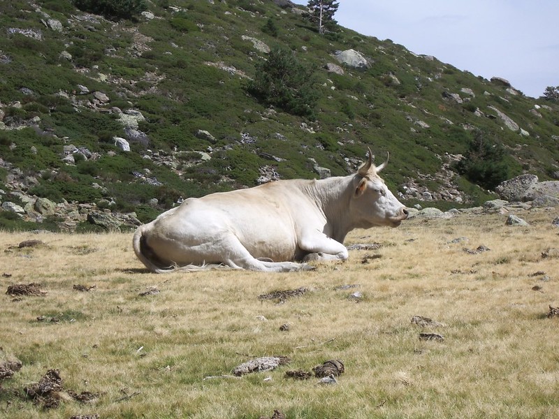 Parque Natural de Peñalara