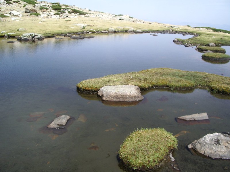 Parque Natural de Peñalara