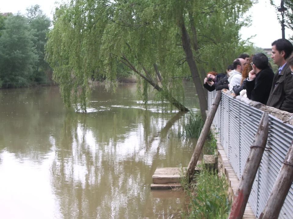 Vinete en Aranda de Duero